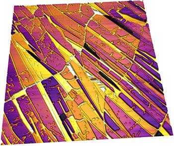 Atomic force microscopy image of a thin film