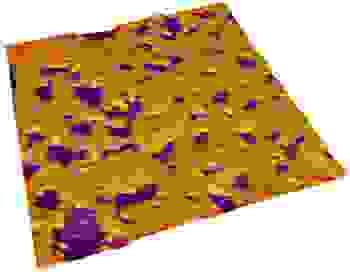 Atomic force microscope image of a lithium battery electrode