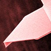 Nanoworld cantilever Arrow UHF