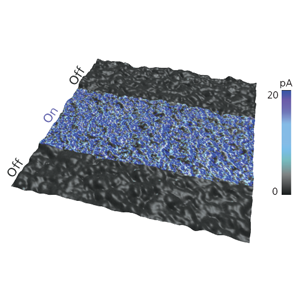 Photoconductive sample imaged on the Infinity AFM. The sample was illuminated in the middle of the scan, resulting in an increased photocurrent response