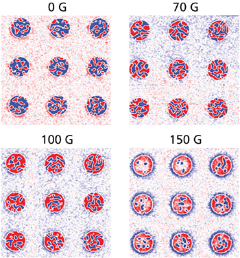Magnetic skyrmions imaged using magnetic force microscopy under an applied perpendicular magnetic field