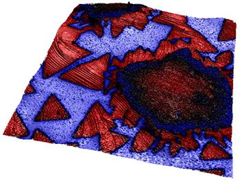 Graphene flakes imaged on boron nitride using atomic force microscopy