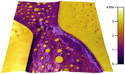 Modulus map of a polymer blend